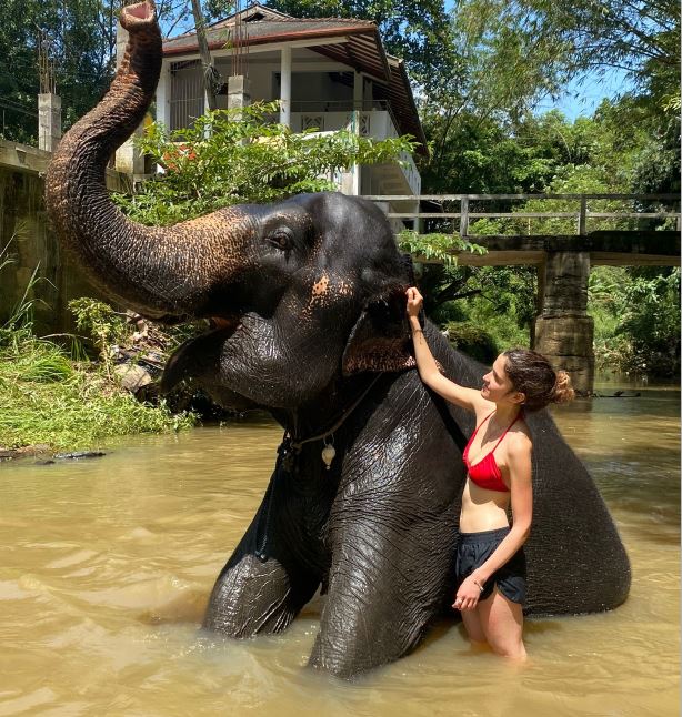 Pinnawala Elephant Orphanage