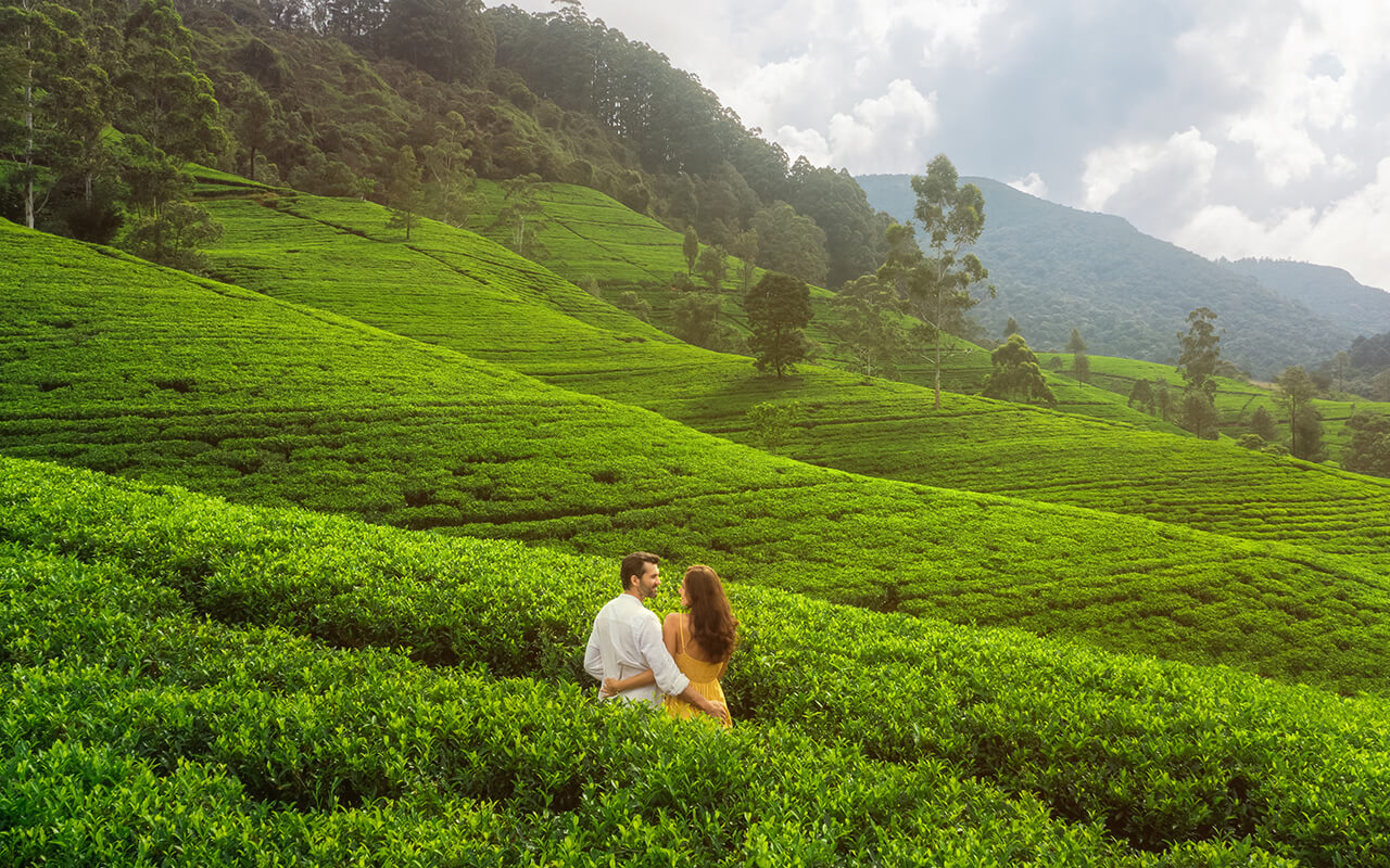 Ceylon Love Story